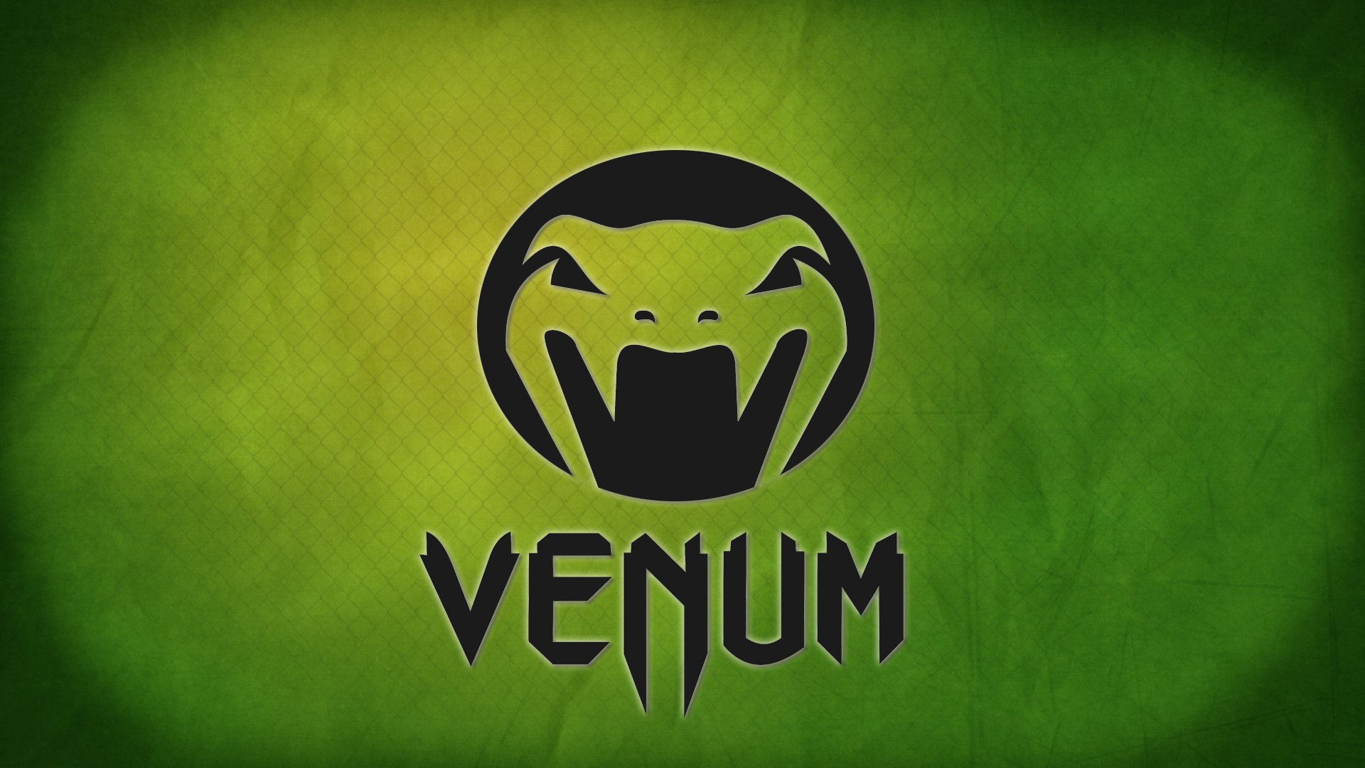 ufc equipment logo fights venum 2012