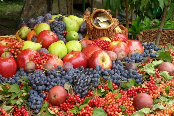 A bunch of fruits and berries: apples, pears, plums, grapes