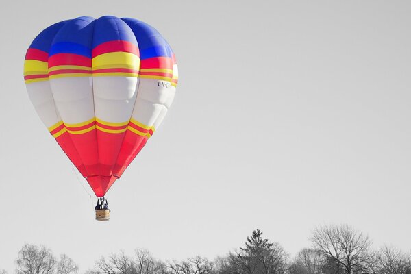 Ballon planant dans le ciel au-dessus des arbres