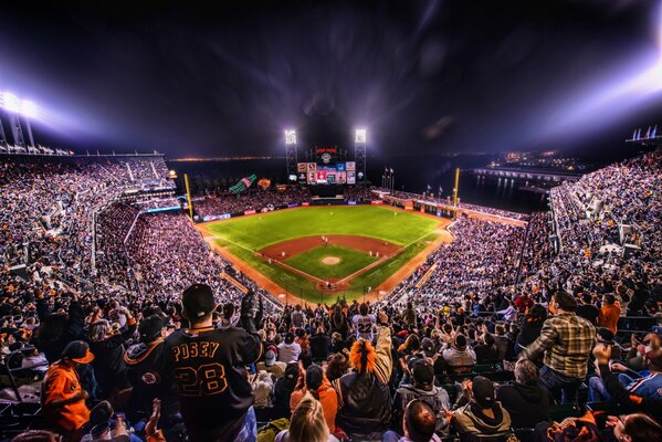 Baseball at night in California