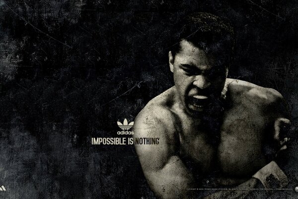 La puissance noire du boxeur-Mohammed Ali
