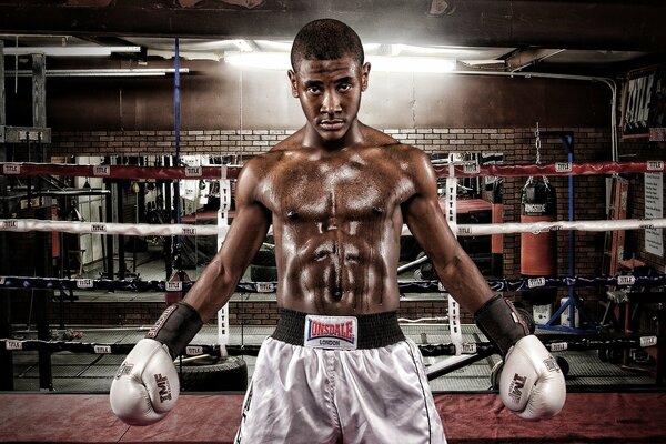 A boxer with a muscular torso in the ring