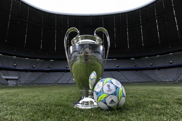 Alliance Arena in Munich - the ball means a lot