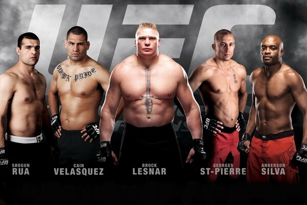 ufc mixed martial arts kämpfer kane velasquez anderson silva georges st- pierre mauricio rua brock lesnar champions