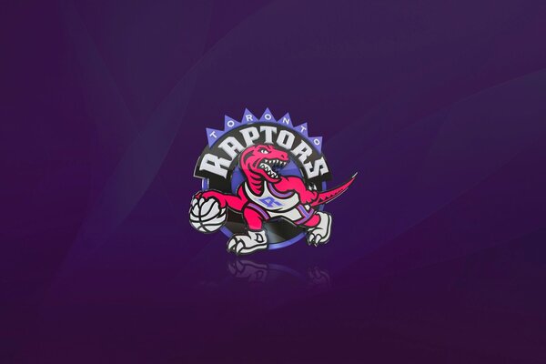 Basketball-Team-Logo auf lila Hintergrund