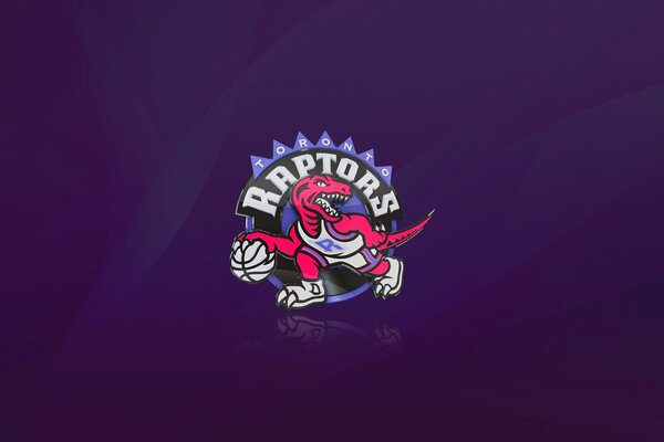 Basketball team logo on purple background