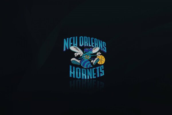 Logo della squadra di basket di New Orleans