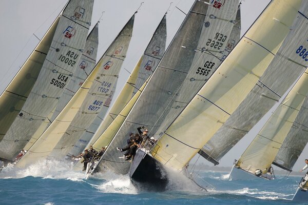 Die an der Regatta teilnehmenden Yachten sind auf den Wellen unterwegs