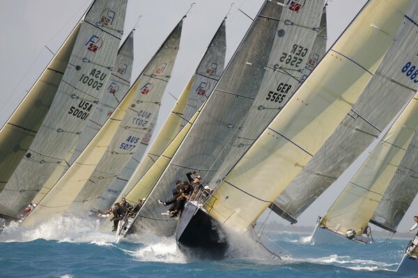 Yachts participating in the regatta are rushing through the waves