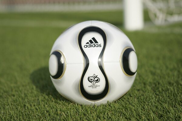 Balón de fútbol en el campo con el logotipo de Adidas