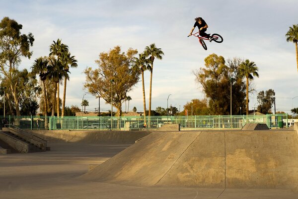 Guy does tricks in a skate park