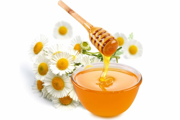 Schalen mit Honig auf einem Hintergrund von Gänseblümchen
