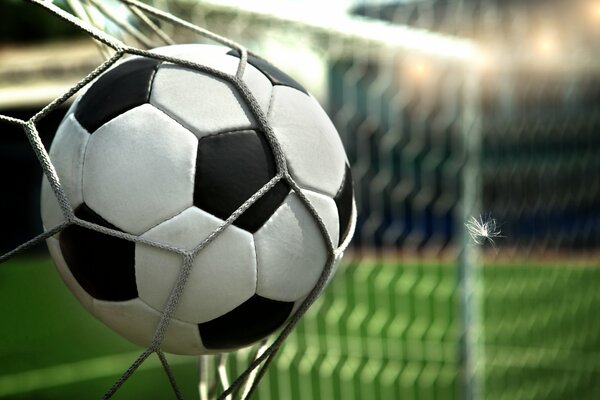 The ball is scored into the net