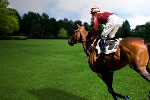 A rider on a horse during a sports race