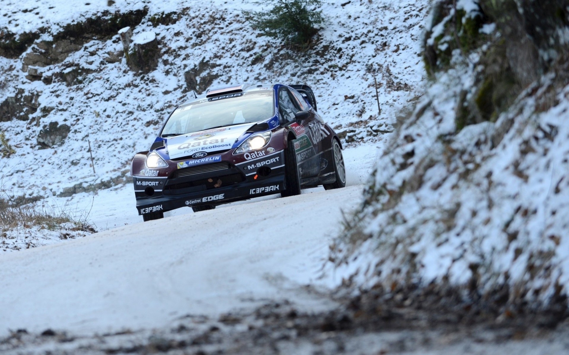 coche rally ford fiesta