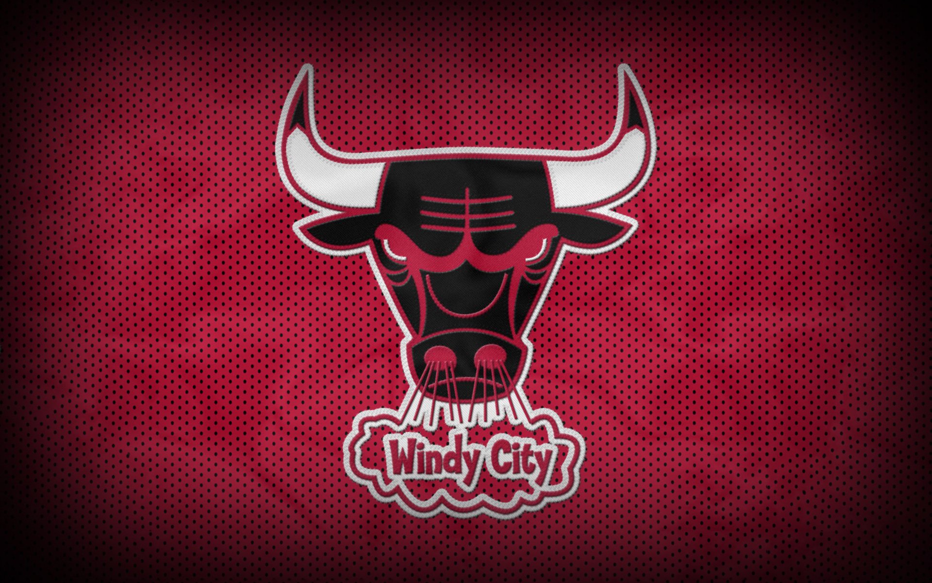 basket chicago bulls toro nba chicago bulls