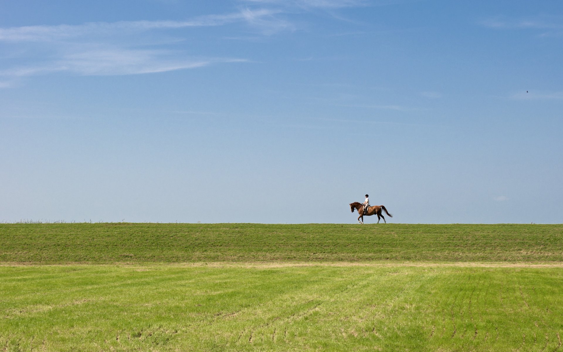 reiter feld himmel