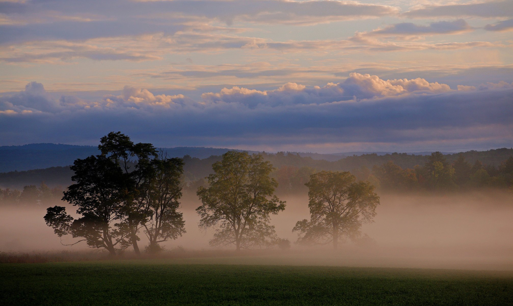 natura nuvole nebbia alberi cielo