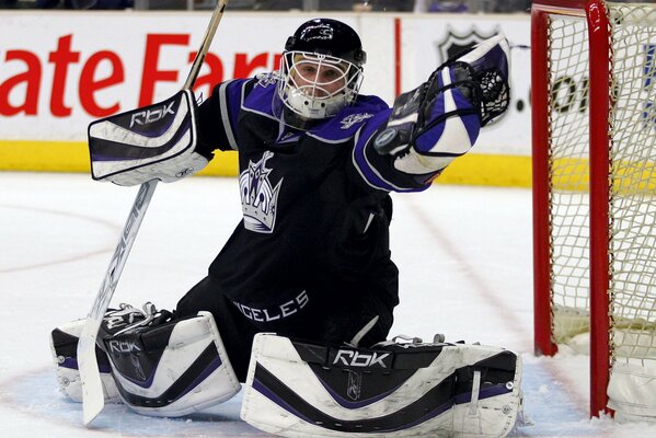 NHL goalkeeper Los Angeles Dan Cloutier