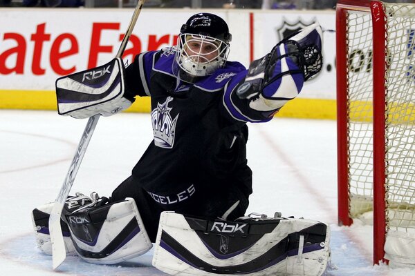 Hockey Equipment for goalie with gloves