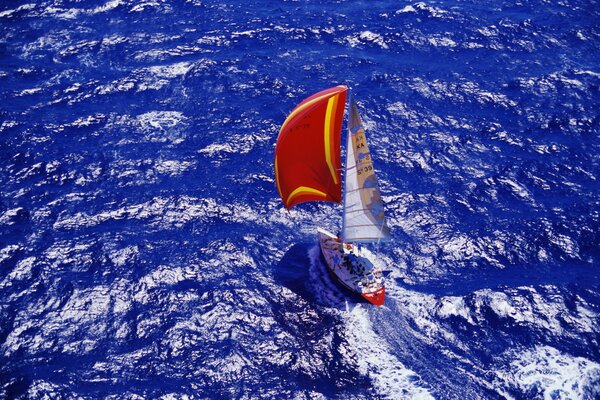 A sailboat sails on the blue sea