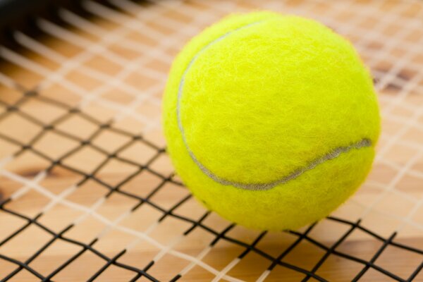 Una pelota de tenis descansa sobre una red