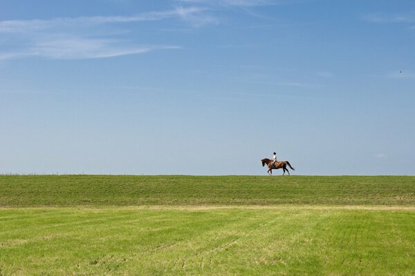 Ein Reiter, der auf einem Feld unter blauem Himmel läuft