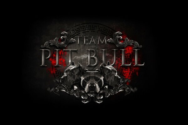 Pit Bulls Mixed Martial Arts Fight Club