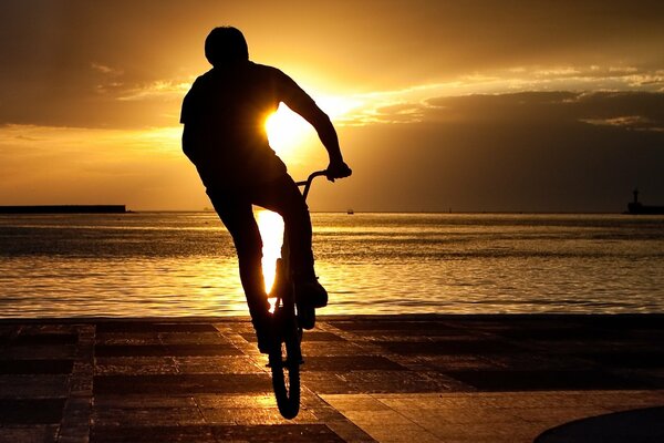 A guy in the sunset rides a bike