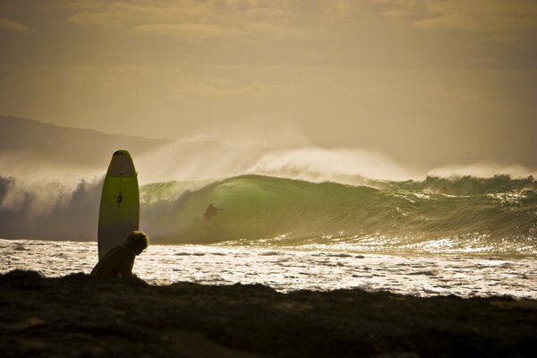 Elegantes olas del océano y playa