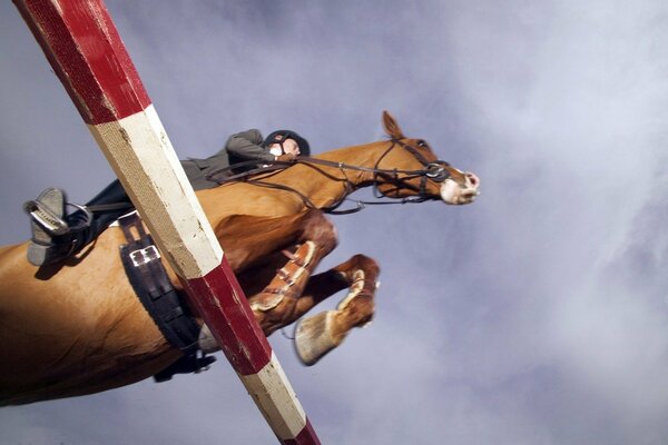 A rider on a horse jumps the barrier