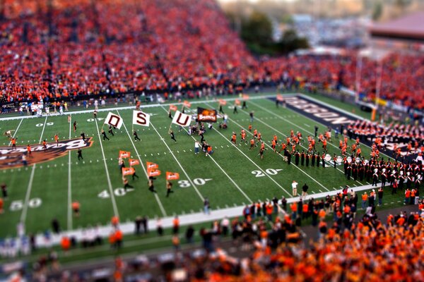 American football orange fans