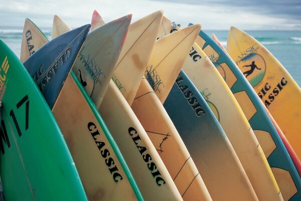 Lonely surfboards are waiting for their owners