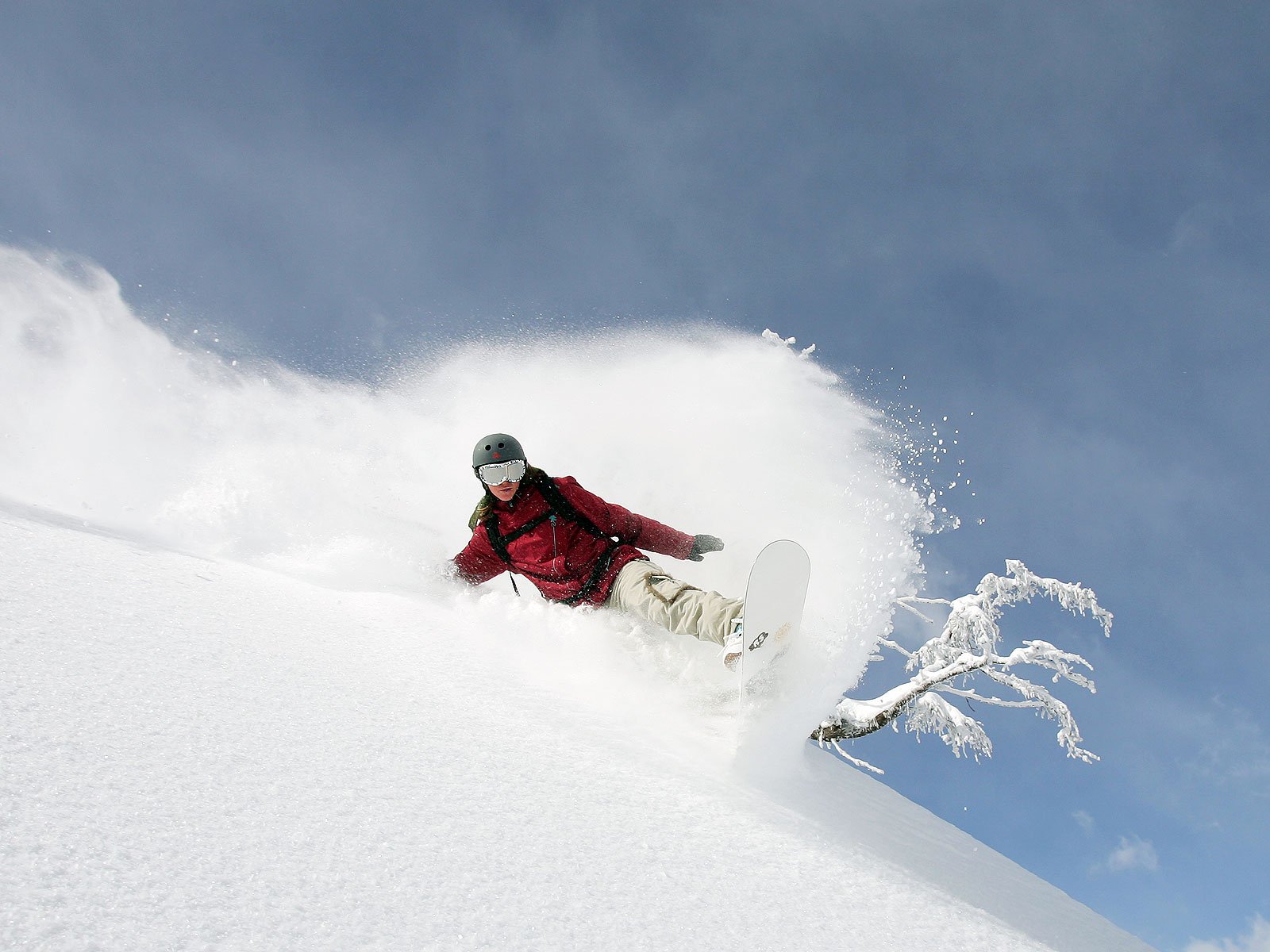 snowboard montaña descenso nieve árbol invierno