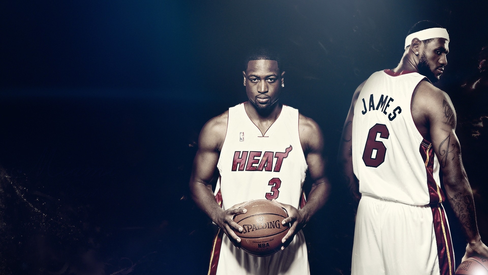 palding lebron james basket nba dwayne wade