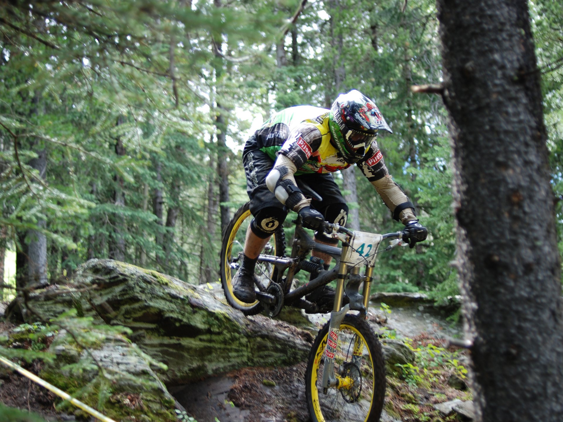 bicicletta montagna downhill estremo foresta