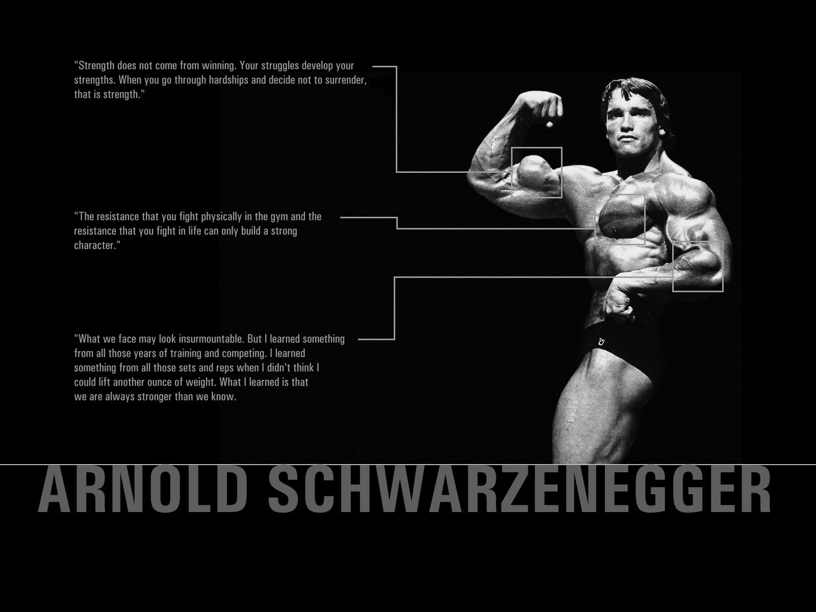 arnold schwarzenegger fuerza citas cuerpo músculos