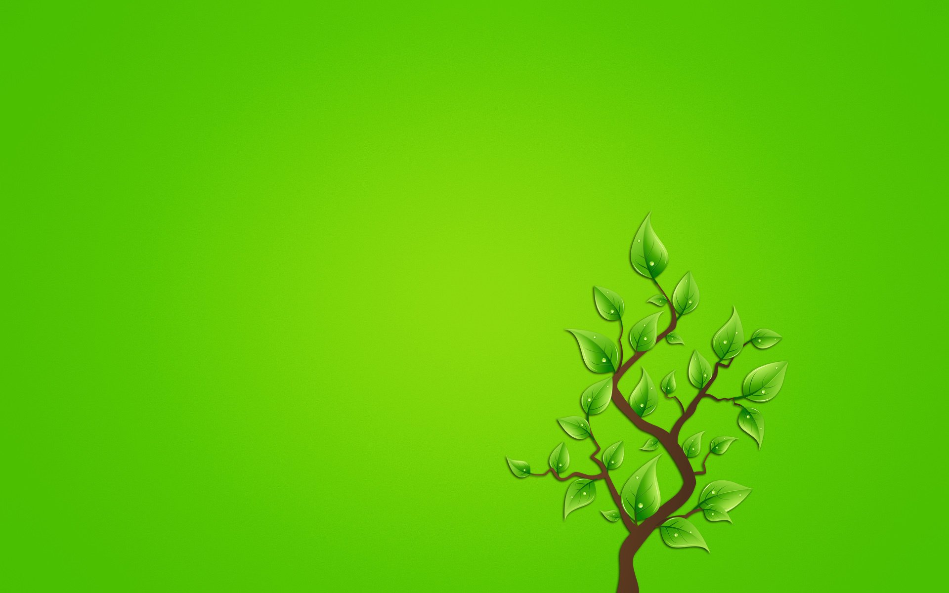 minimalismus zweig blätter baum grünlicher hintergrund