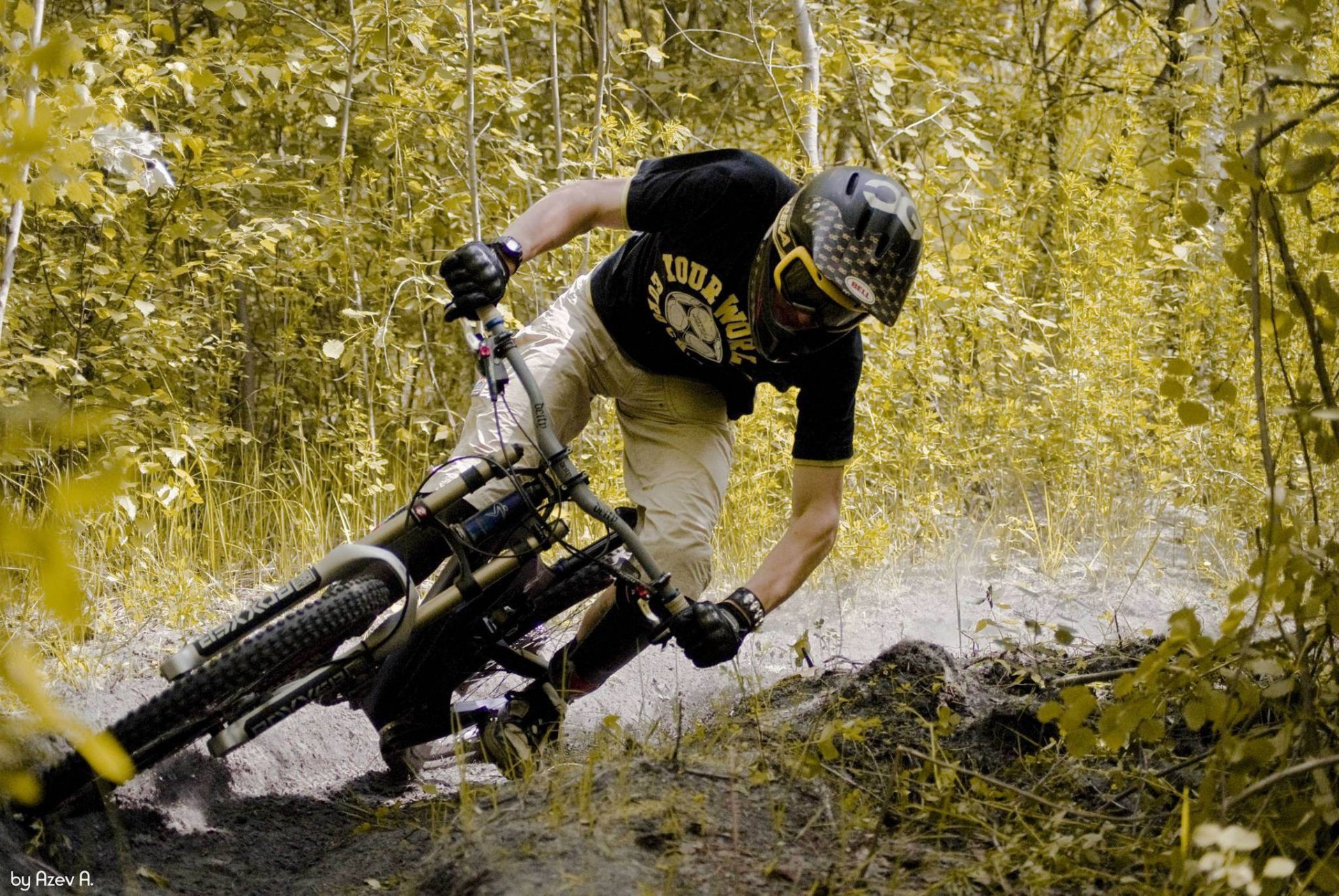 bicicletta strada foresta