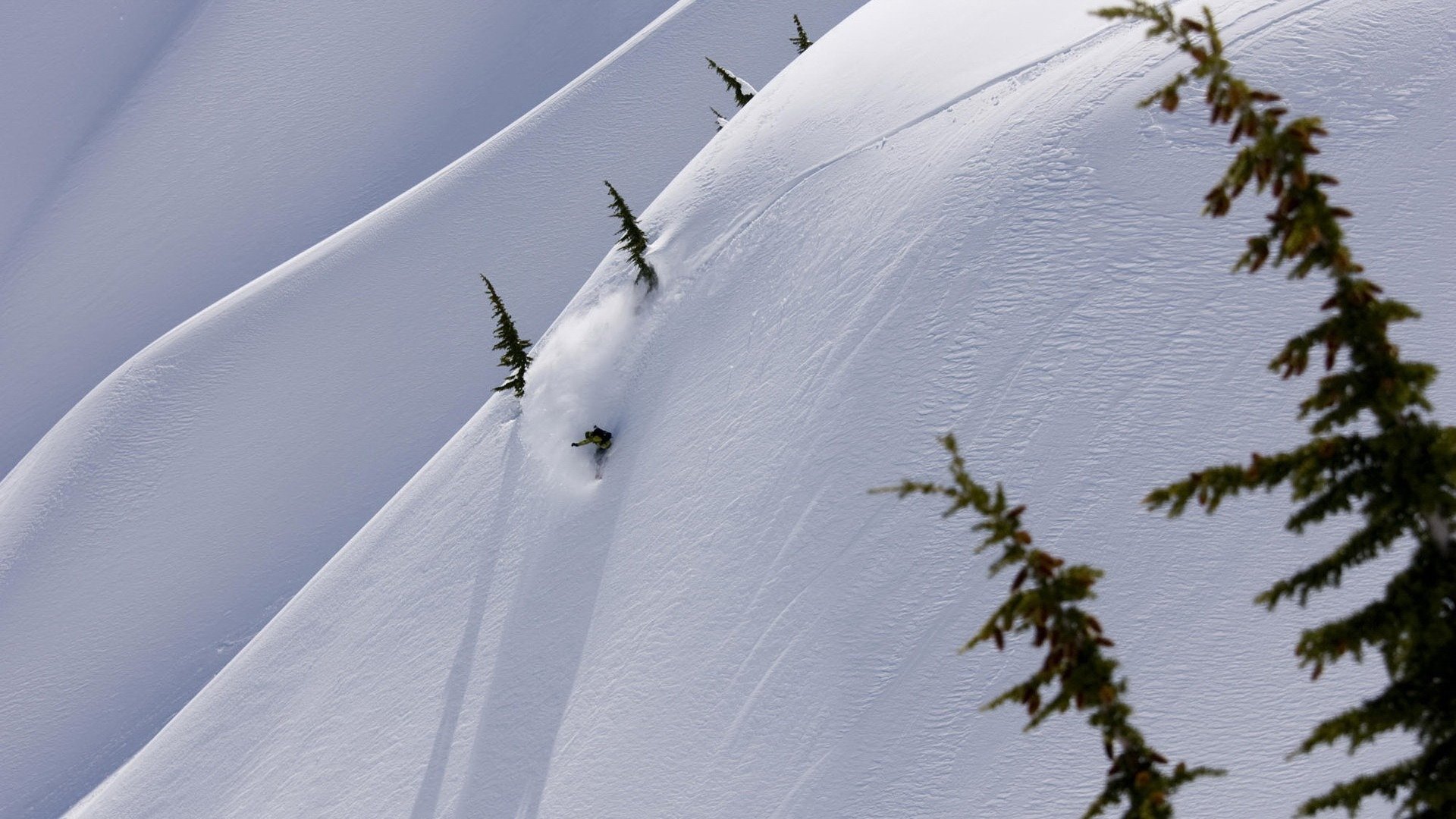 montagnes hiver neige descente arbres de noël snowboard snowboarder vitesse adrénaline