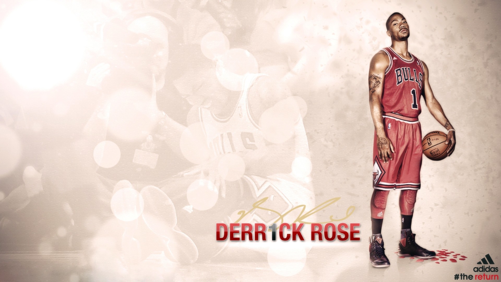 derrick rose bulls chicago basketball bullen nba sport