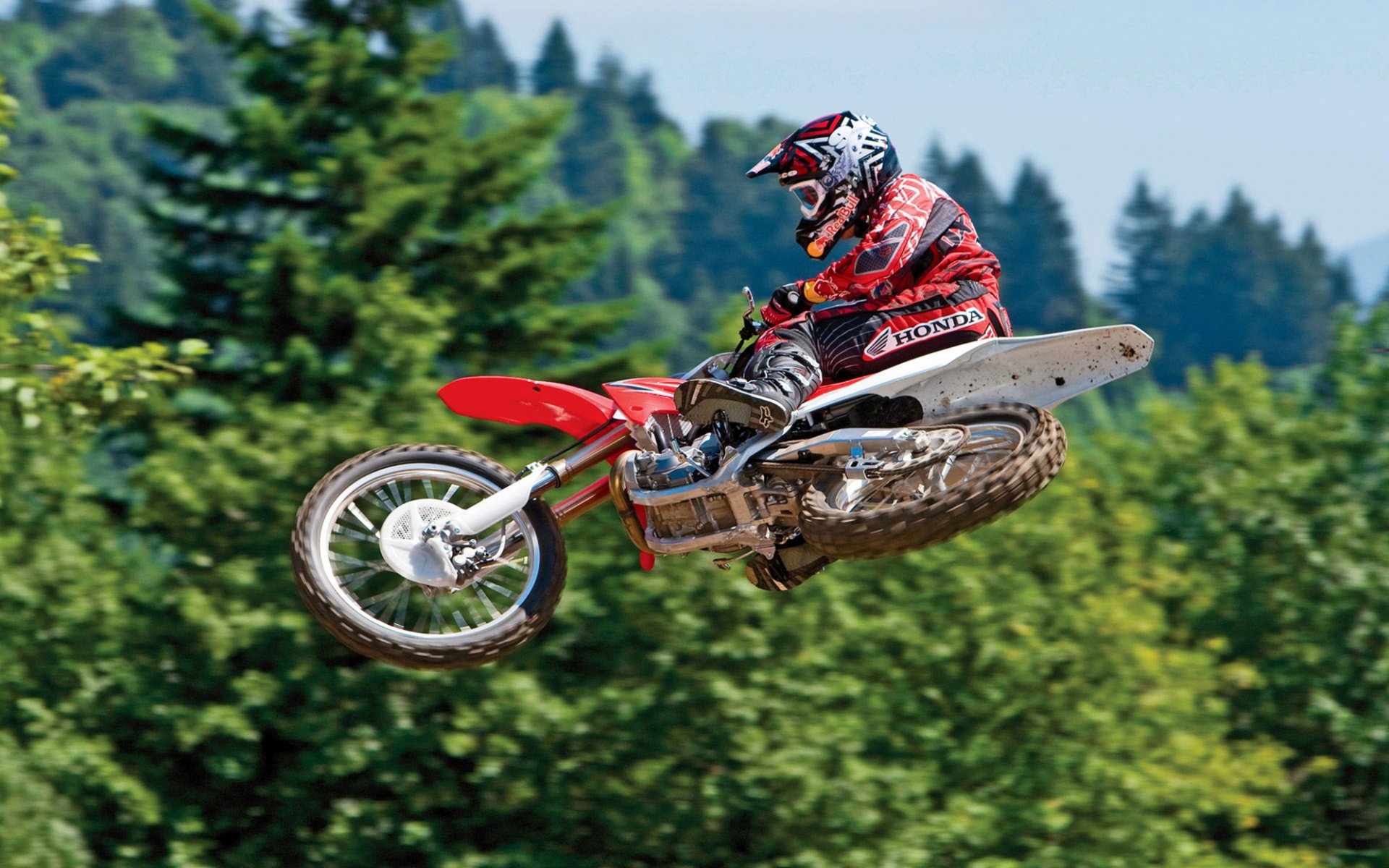 motorrad bäume fliegen himmel