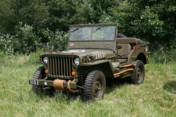 Jeep con tracción en las cuatro ruedas-MV en el campo junto al bosque