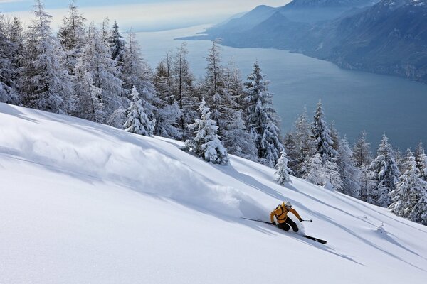 Descente d un skieur d une pente enneigée