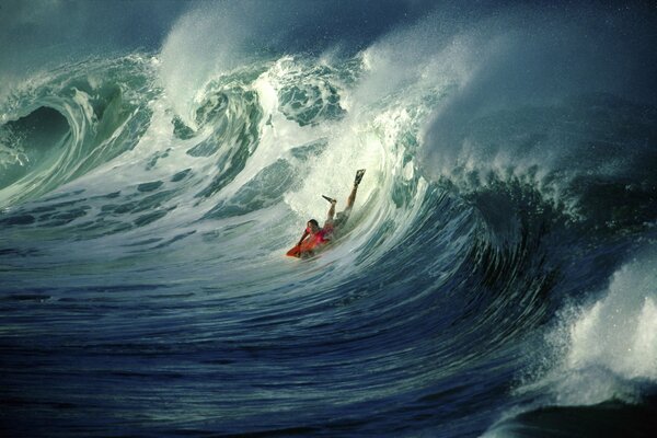 Surfeur attrape une vague géante