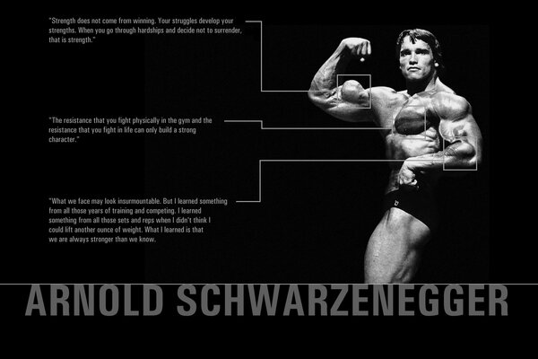 Photographie d Arnold Schwarzenegger dans une posture de Bodybuilder mettant l accent sur les biceps et les citations