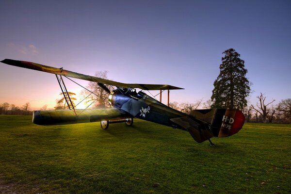 Aereo sul prato verde al sole