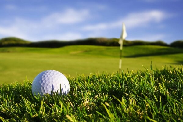 Golfball auf dem grünen Feld