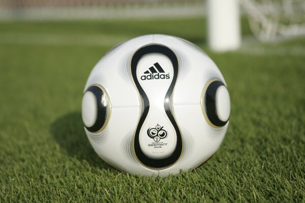 Soccer ball with symbols of the 2006 World Cup