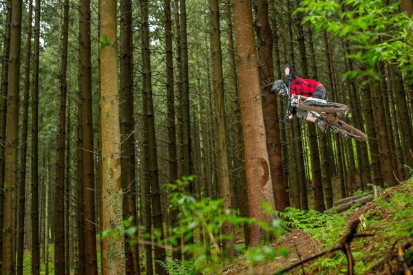 Le vélo a hurlé sur la piste